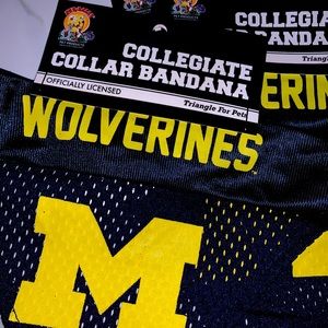 Dog bandanna Michigan